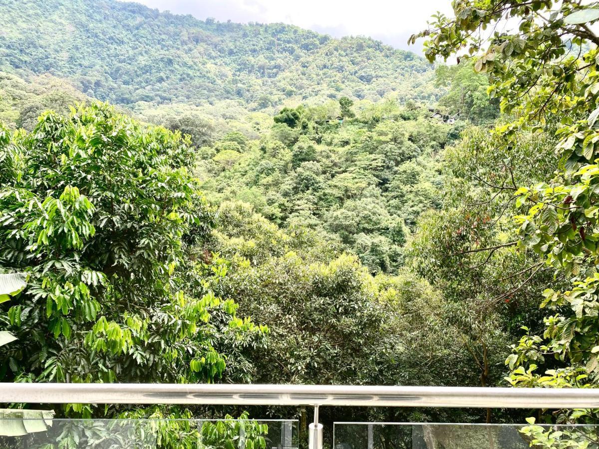 Montes De Beraka (Adults Only) Otel Minca Dış mekan fotoğraf